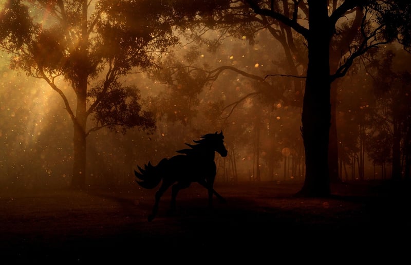 Fairy Tale Night